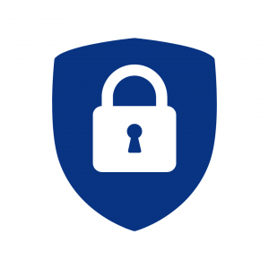 secure systems icon